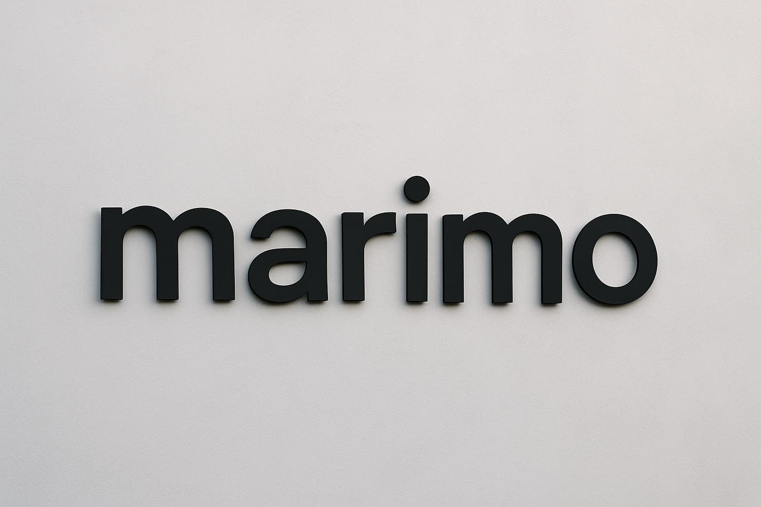 Marimo reactive Python notebook interface in a modern development environment